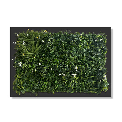 Living Walls Home Design Trend
