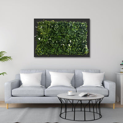 Living Walls for Your Home